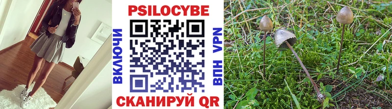 цена   Нягань  Галлюциногенные грибы мухоморы 